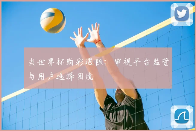 当世界杯购彩遇阻：审视平台监管与用户选择困境