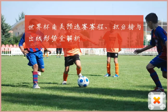 世界杯南美预选赛赛程、积分榜与出线形势全解析