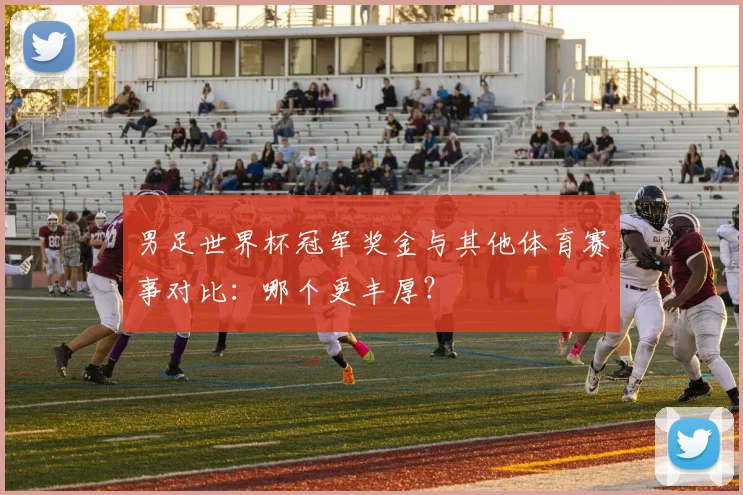 男足世界杯冠军奖金与其他体育赛事对比：哪个更丰厚？