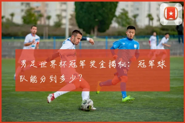 男足世界杯冠军奖金揭秘：冠军球队能分到多少？