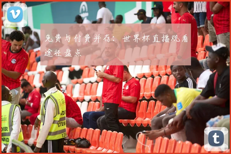 免费与付费并存:世界杯直播观看途径盘点