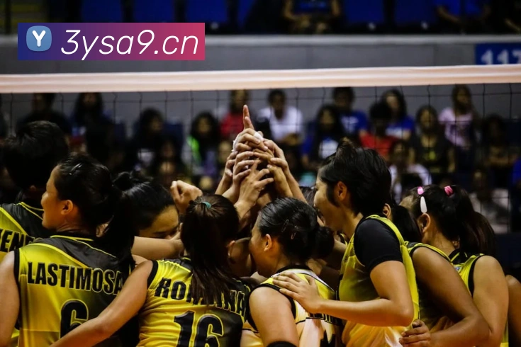 leyu乐鱼手机网页版平台生态图